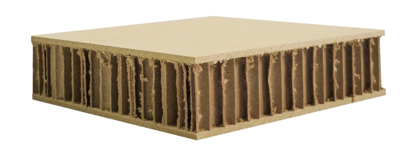 3-8 Comb Light Hollowcore Panels Honeycomb Core Panels Lightweight Panels Wood Panels Lightweight Wood Panels Think Lightweight Wood Panel Manufacturer Lightweight Sandwich Panels